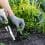 What’s the Best Way to Handle Pruning and Weed Control for Spring Lawn Maintenance in Kirkland?